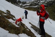 03 Sulla neve anche maggiolina verso i Laghettti di Ponteranica